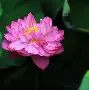 base码表-九游体育下载